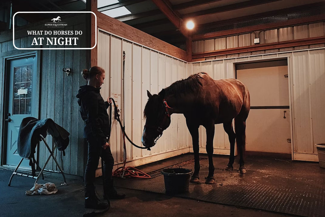 How to Keep Flies Off Horses Naturally 5 effective ways for flyfree